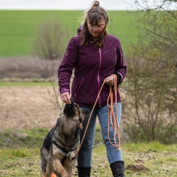 Justine Philippon en promenade avec un chien lors d'une éducation canine