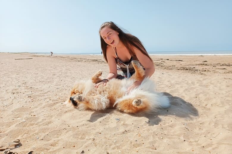 activitée maitre chien à la plage avec éducation Flairplay canin