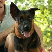chien-dun-client-de-Flair-Play-canin-alexandre