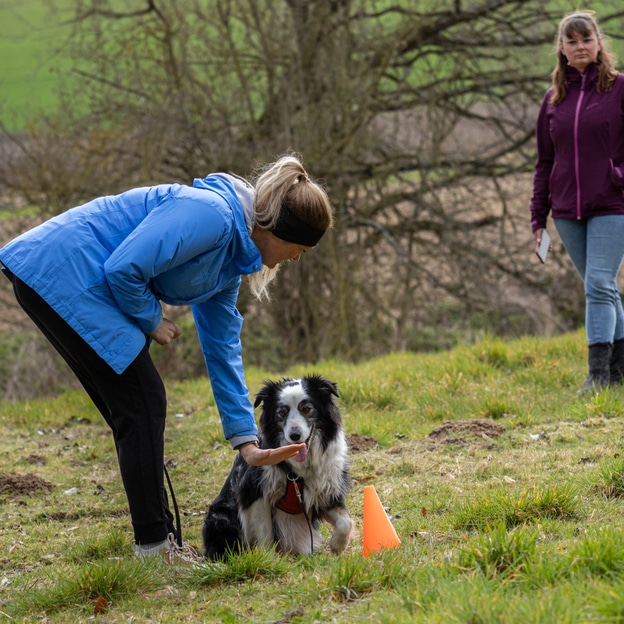 cours collectif dressage canin maitresse avec son chien
